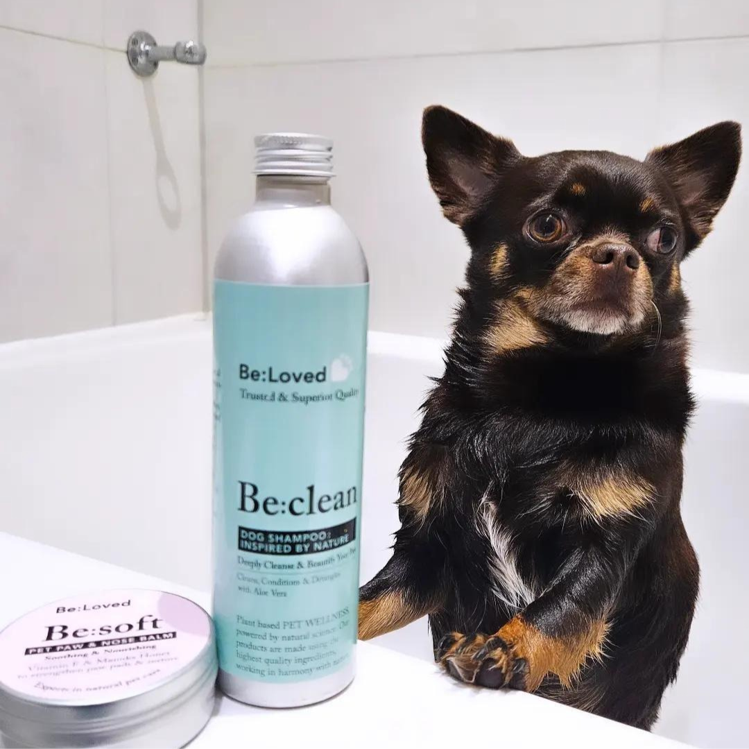 Be:Clean Dog Shampoo - Deeply Cleanse & Beautify Your Pet