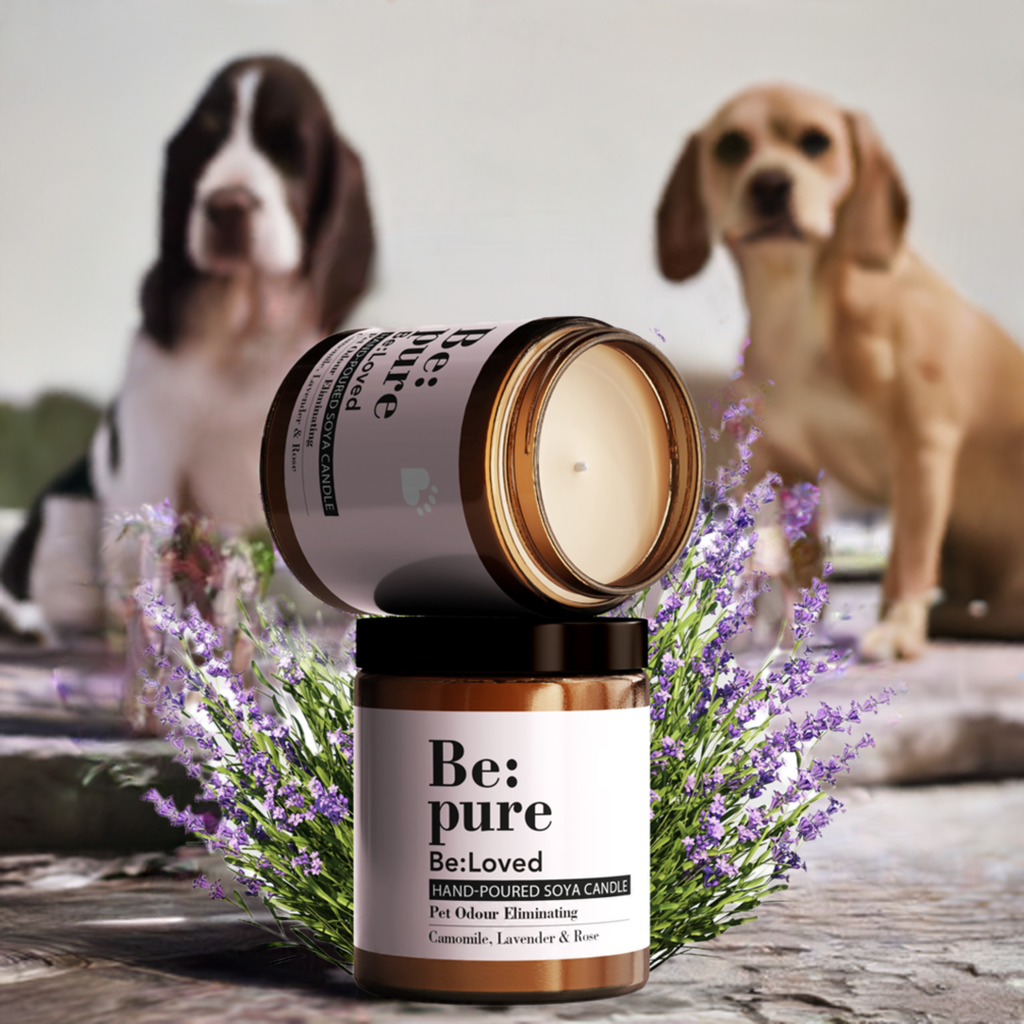 Be:Pure – Pet & Dog Odour Eliminating Candle